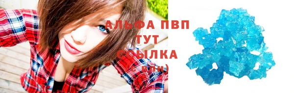амф Верея