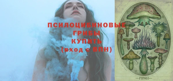 амф Верея