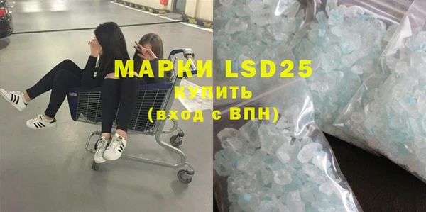 амф Верея