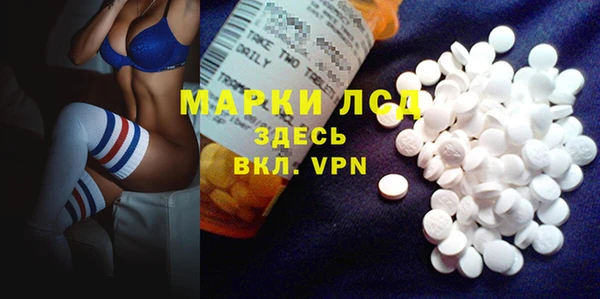 амф Верея