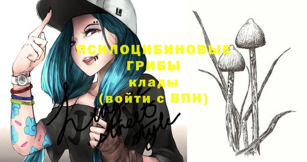 амф Верея